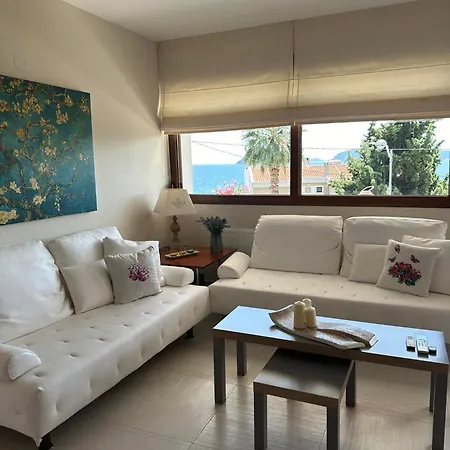 Navy View Villa Palaiontsiflikion Exterior photo
